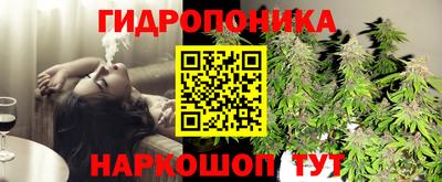 таблы Бийск